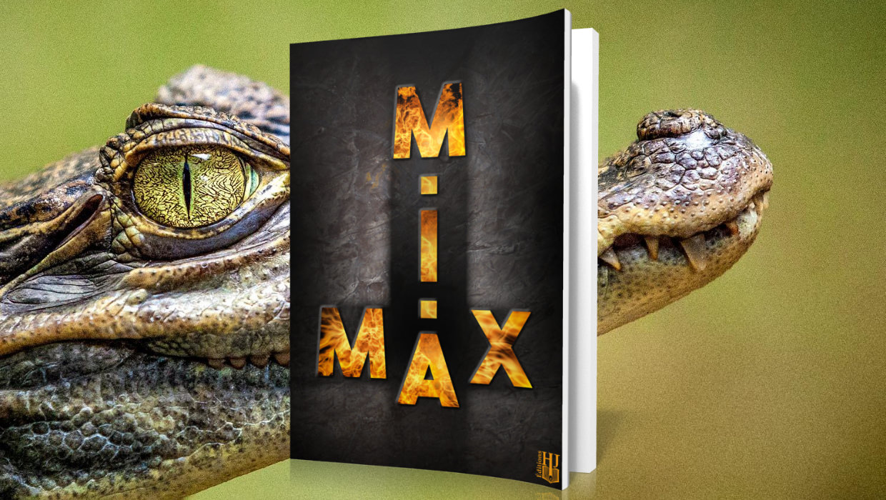 Max - Bannière principale