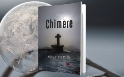 Chimère : La vision de l’autre